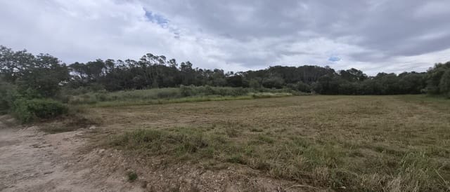 Undeveloped Land for sale in Costitx - € 240,000 (Ref: 9836433)
