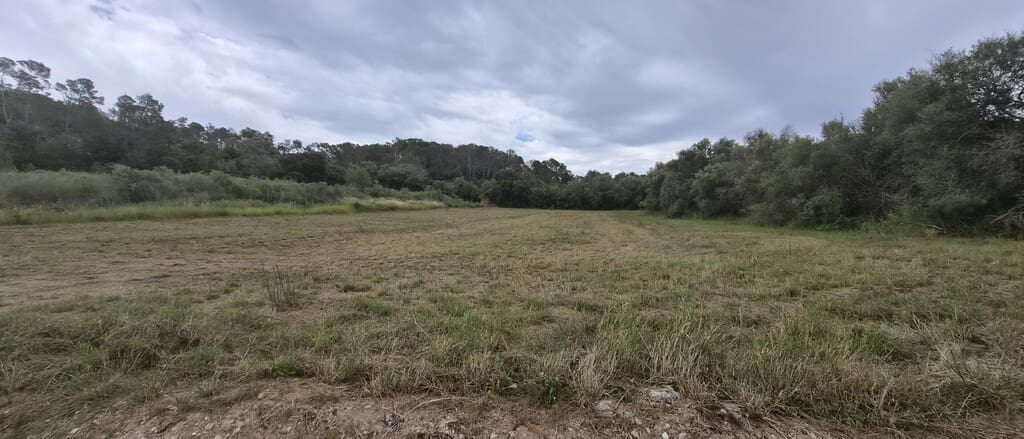 Undeveloped Land for sale in Costitx - € 240,000 (Ref: 9836433)