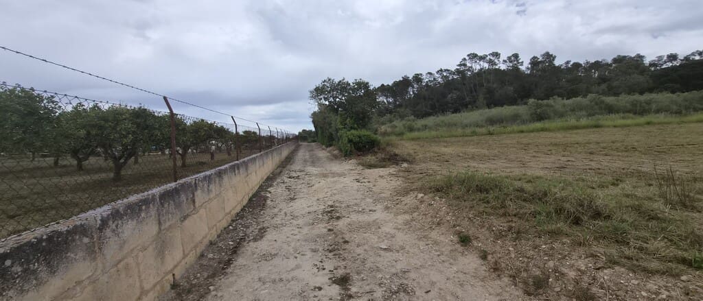 Undeveloped Land for sale in Costitx - € 240,000 (Ref: 9836433)