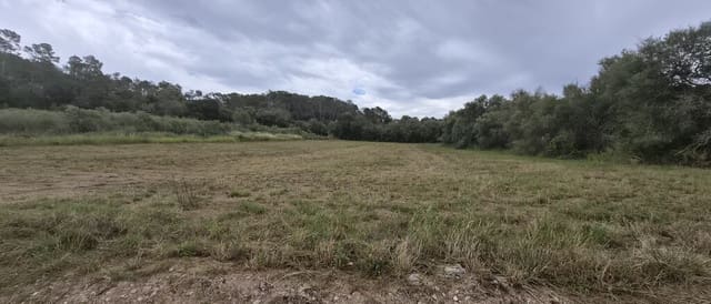 Undeveloped Land for sale in Costitx - € 240,000 (Ref: 9836433)