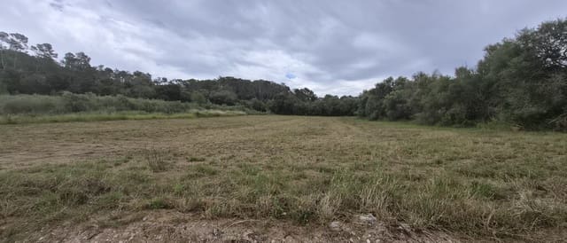 Undeveloped Land for sale in Costitx - € 240,000 (Ref: 9836433)