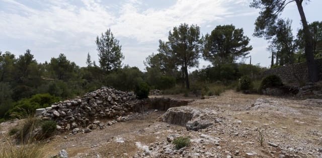 Ubebygd land til salgs i Pollensa / Pollença - € 790 000 (Ref: 9986589)