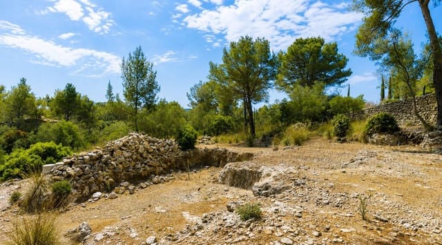 Terreno Não Urbanizado para venda em Pollensa / Pollença - 790 000 € (Ref: 9986589)