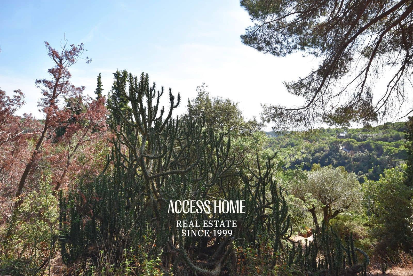 12 sypialnia Willa na sprzedaż w Arenys de Munt z basenem - 2 350 000 € (Ref: 9115588)