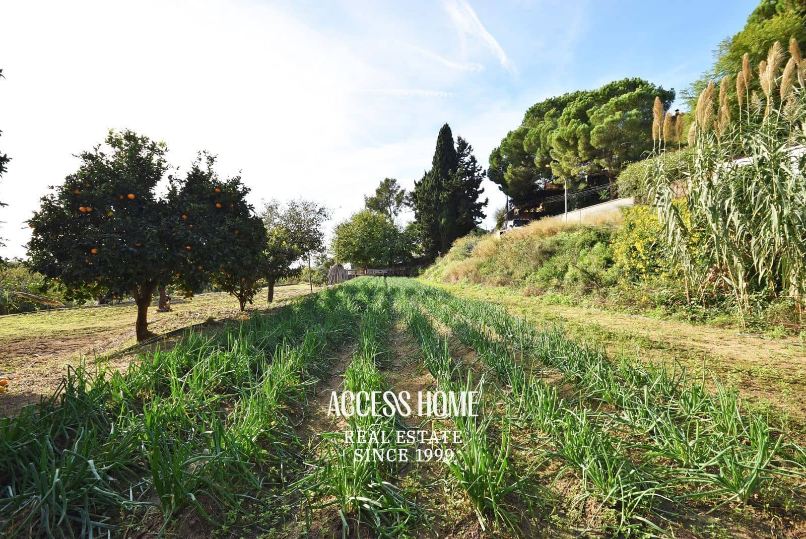 4 bedroom Villa for sale in Premia de Dalt with pool garage - € 930,000 (Ref: 9399876)