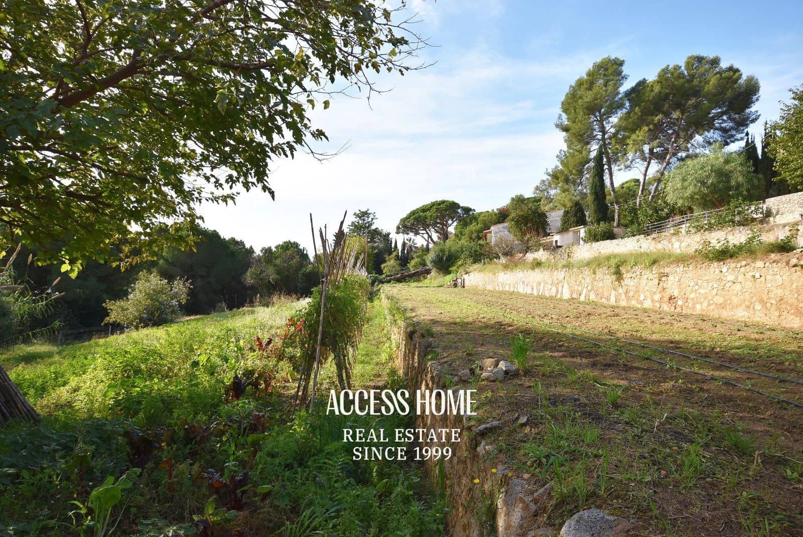 4 bedroom Villa for sale in Premia de Dalt with pool garage - € 930,000 (Ref: 9399876)