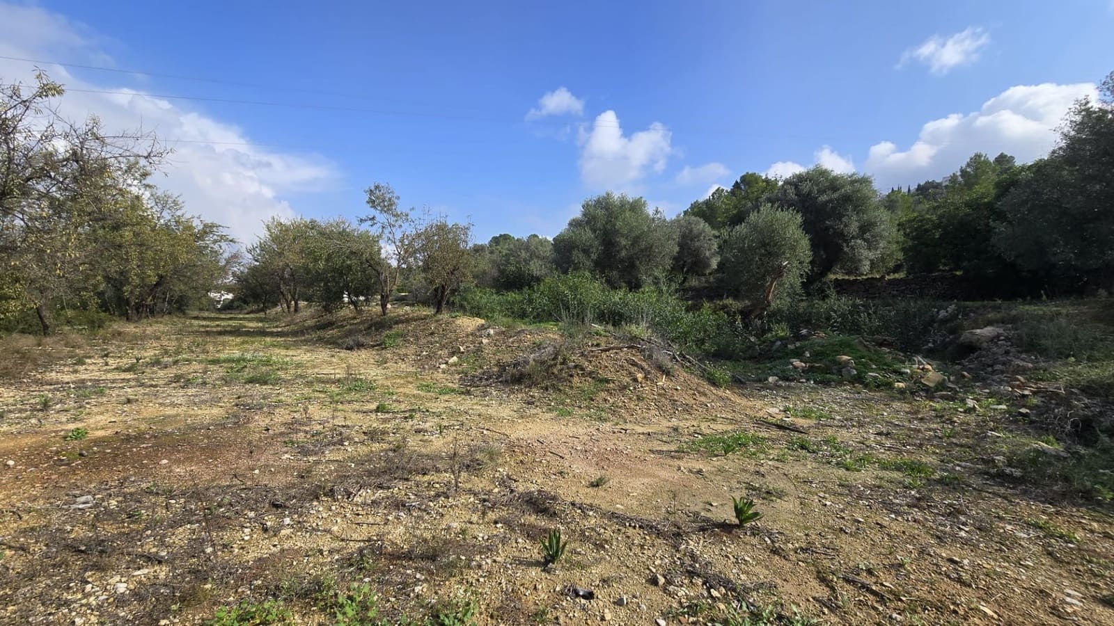 Tomt till salu i Orba - 160 000 € (Ref: 8787664)