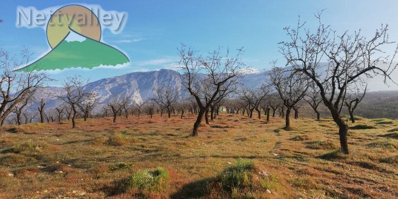 Quinta/Casa Rural para venda em Durcal - 150 000 € (Ref: 10162853)