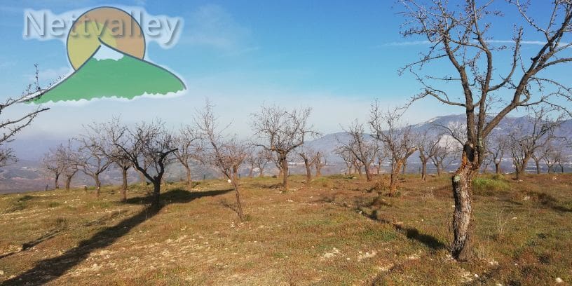 Quinta/Casa Rural para venda em Durcal - 150 000 € (Ref: 10162853)