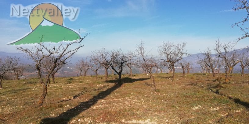 Quinta/Casa Rural para venda em Durcal - 150 000 € (Ref: 10162853)