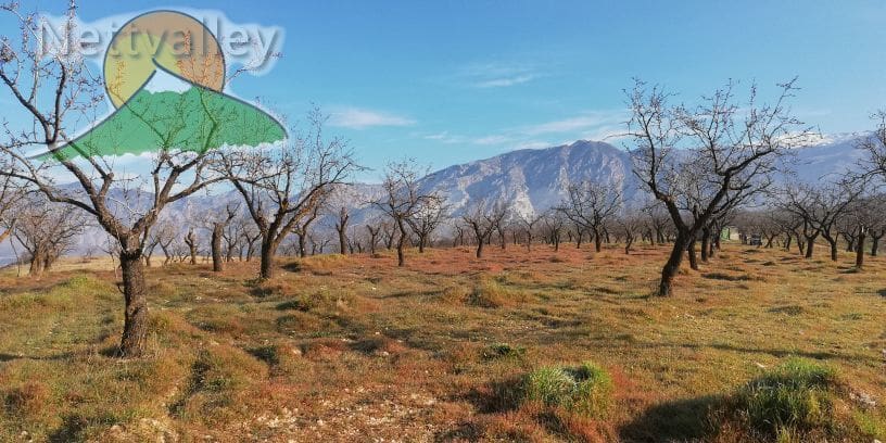 Quinta/Casa Rural para venda em Durcal - 150 000 € (Ref: 10162853)
