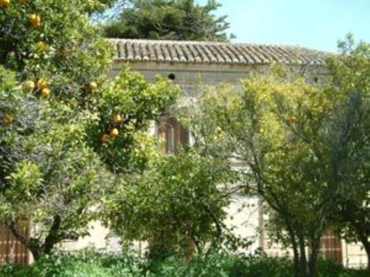 Grond te koop in El Pinar - € 57.400 (Ref: 3398003)