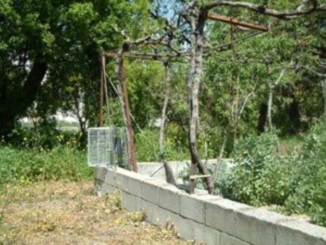 Grond te koop in El Pinar - € 57.400 (Ref: 3398003)