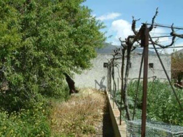 Grond te koop in El Pinar - € 57.400 (Ref: 3398003)