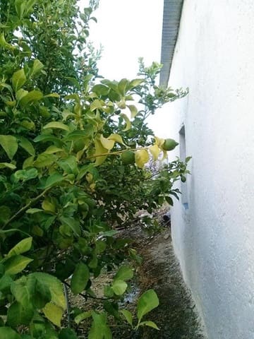 Finca/Landehus til salg i Restabal, El Valle - € 40.200 (Ref: 5414457)