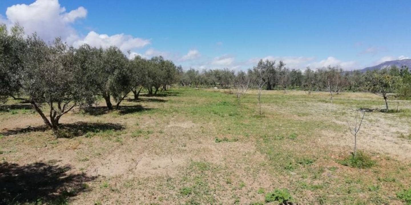 Virksomhed til salg i Niguelas - € 219.800 (Ref: 5414458)