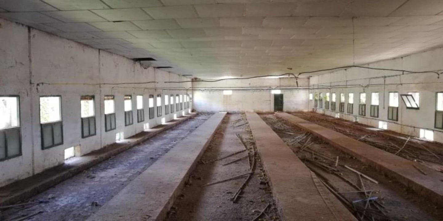 Virksomhed til salg i Niguelas - € 219.800 (Ref: 5414458)