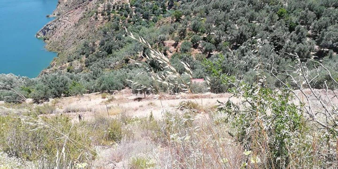 Finca/Landhuis te koop in El Pinar - € 60.000 (Ref: 5414462)