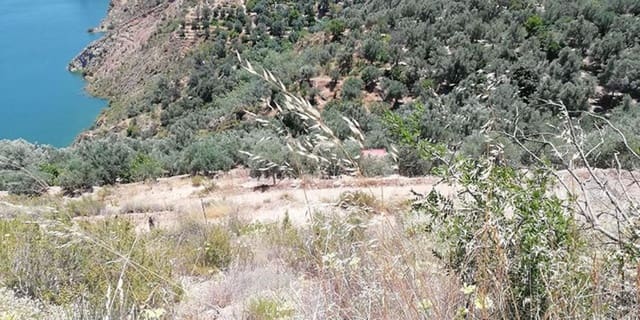 Finca/Landhuis te koop in El Pinar - € 60.000 (Ref: 5414462)