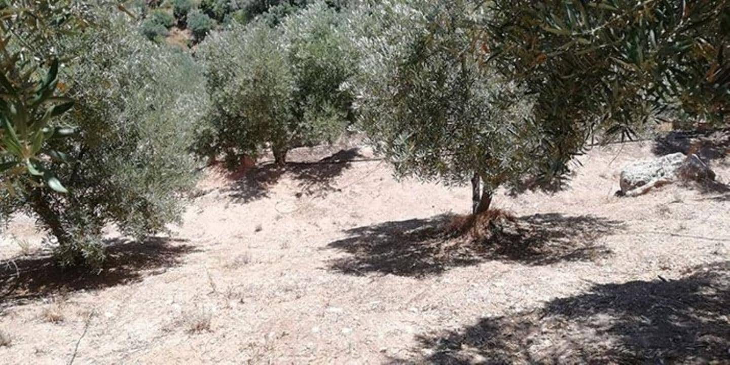 Finca/Landhuis te koop in El Pinar - € 60.000 (Ref: 5414462)