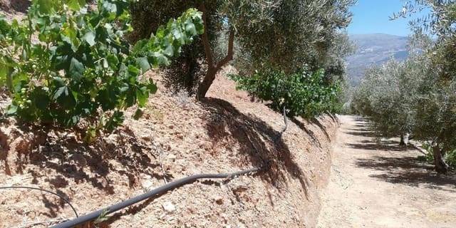 Finca/Landhuis te koop in El Pinar - € 60.000 (Ref: 5414462)