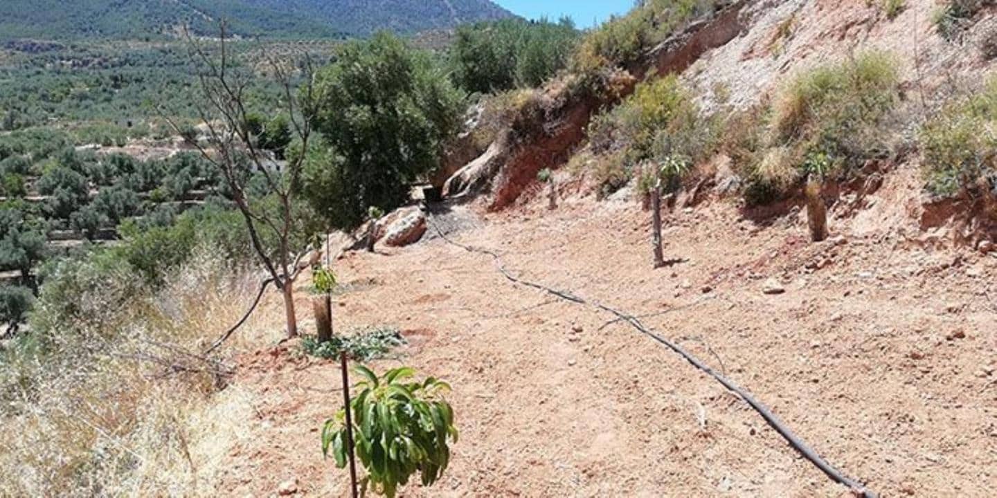 Finca/Landhuis te koop in El Pinar - € 60.000 (Ref: 5414462)