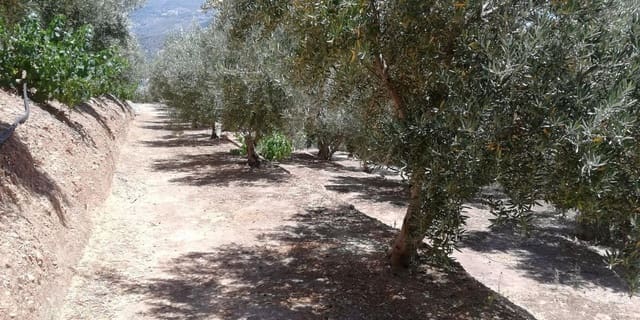 Finca/Landhuis te koop in El Pinar - € 60.000 (Ref: 5414462)