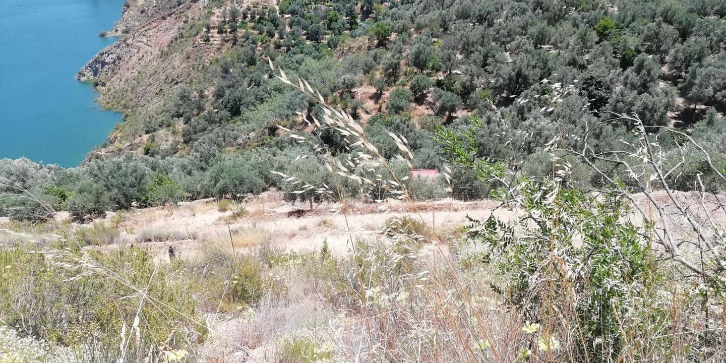 Finca/Landhuis te koop in El Pinar - € 60.000 (Ref: 5414462)