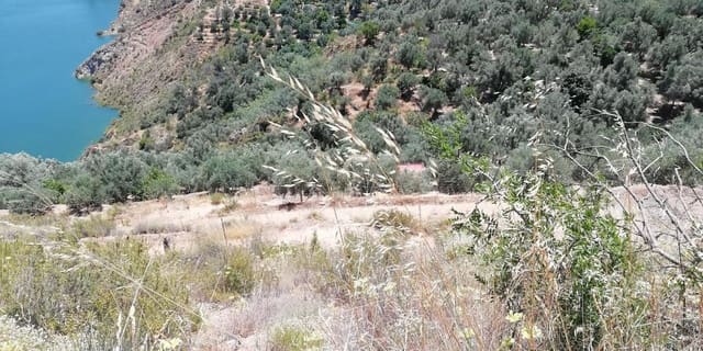 Finca/Landhuis te koop in El Pinar - € 60.000 (Ref: 5414462)