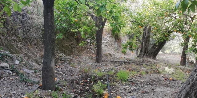 Finca/Landgut zu verkaufen in El Pinar - 38.000 € (Ref: 5414464)