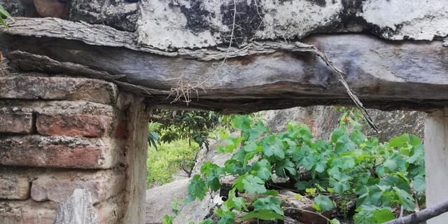 Finca/Landgut zu verkaufen in El Pinar - 38.000 € (Ref: 5414464)