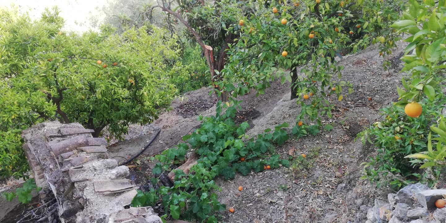 Finca/Landehus til salg i El Pinar - € 38.000 (Ref: 5414464)