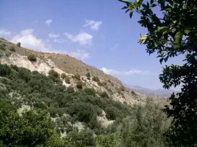 Finca/Landgut zu verkaufen in El Pinar - 38.000 € (Ref: 5414464)