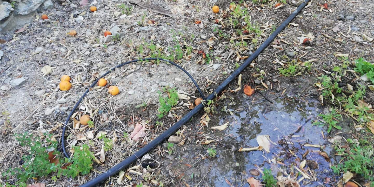 Finca/Landehus til salg i El Pinar - € 38.000 (Ref: 5414464)