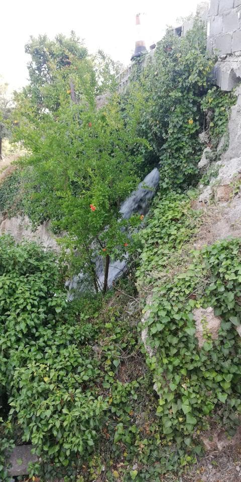 Finca/Landehus til salg i El Pinar - € 38.000 (Ref: 5414464)