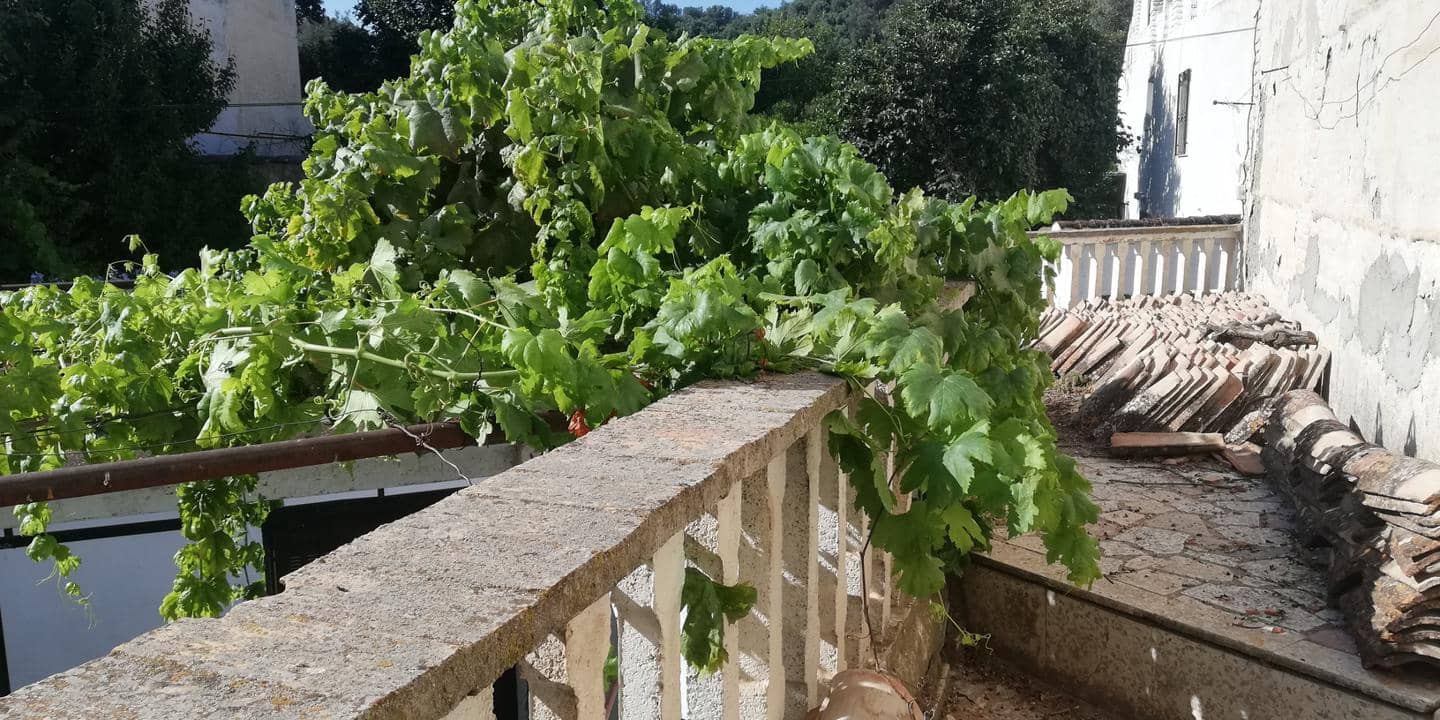 10 soveværelse Byhus til salg i El Pinar - € 240.000 (Ref: 5569055)