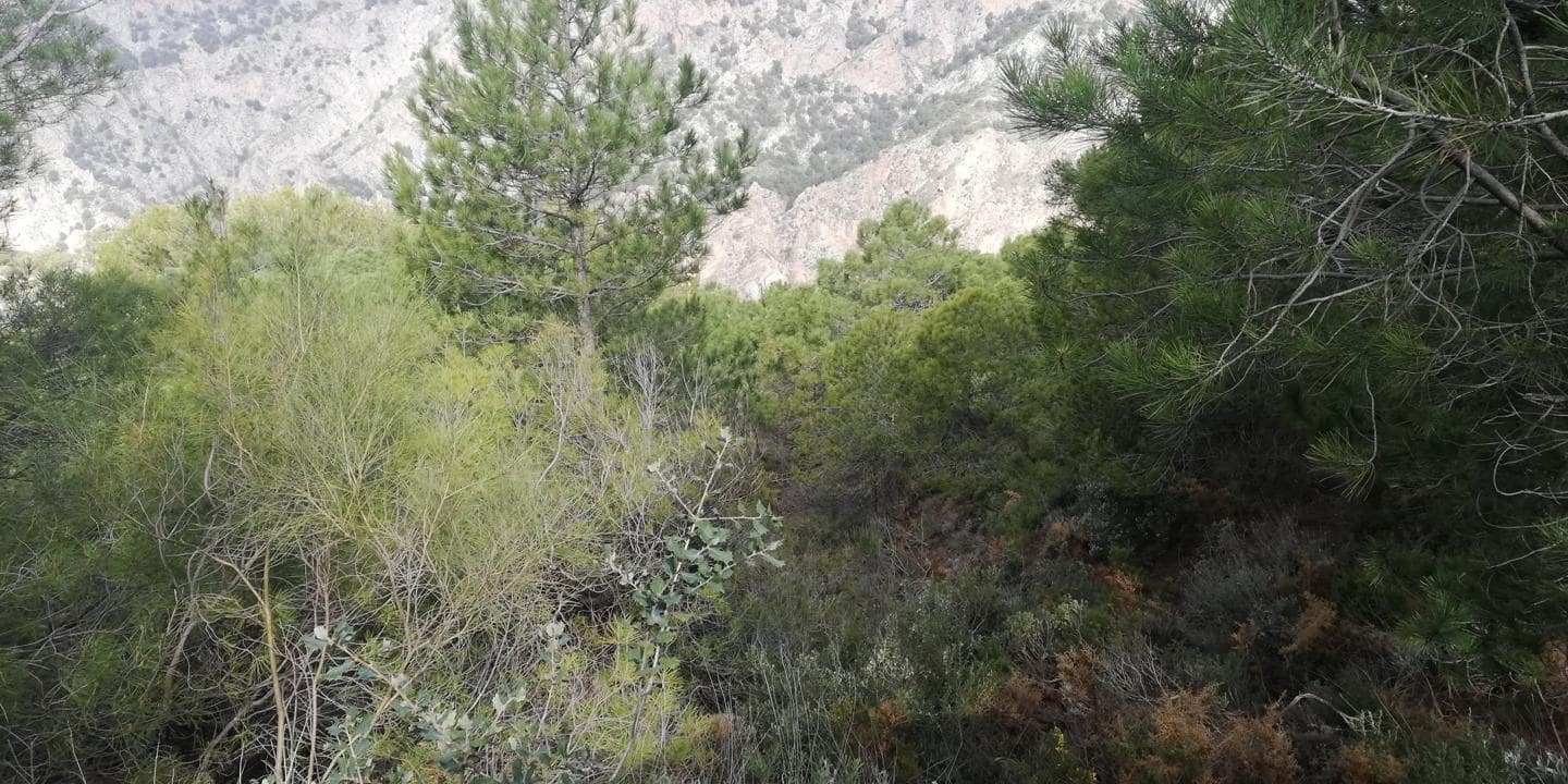 Finca/Landehus til salg i Niguelas - € 28.000 (Ref: 5949532)