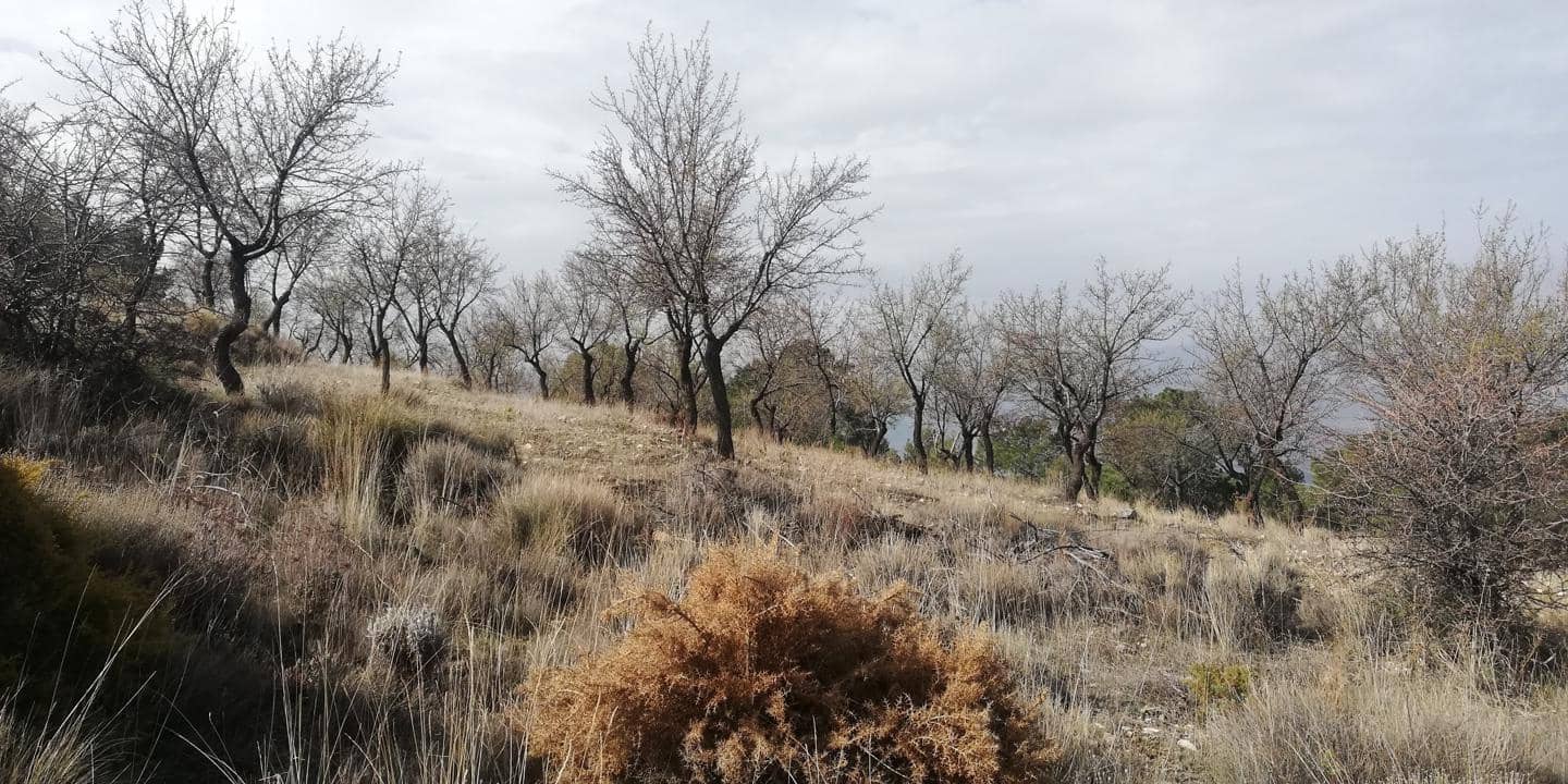 Finca/Landehus til salg i Niguelas - € 28.000 (Ref: 5949532)