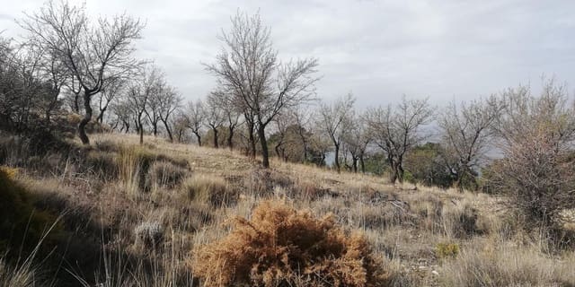 Finca/Landehus til salg i Nigüelas - € 28.000 (Ref: 5949532)