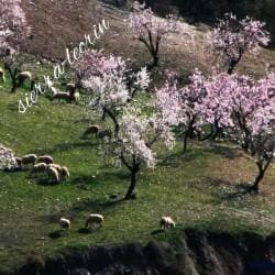 5 soverom Hus til salgs i Lecrin - € 572 400 (Ref: 6597144)