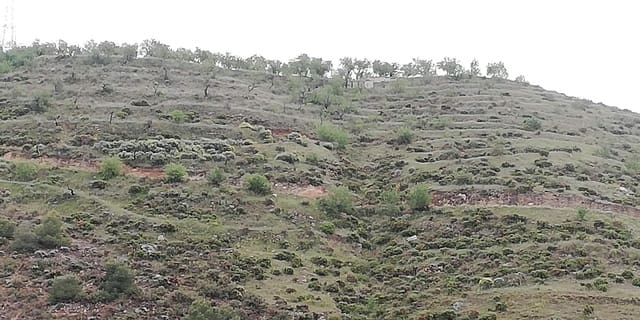 Finca/Landehus til salg i Dúrcal - € 6.850 (Ref: 6796495)