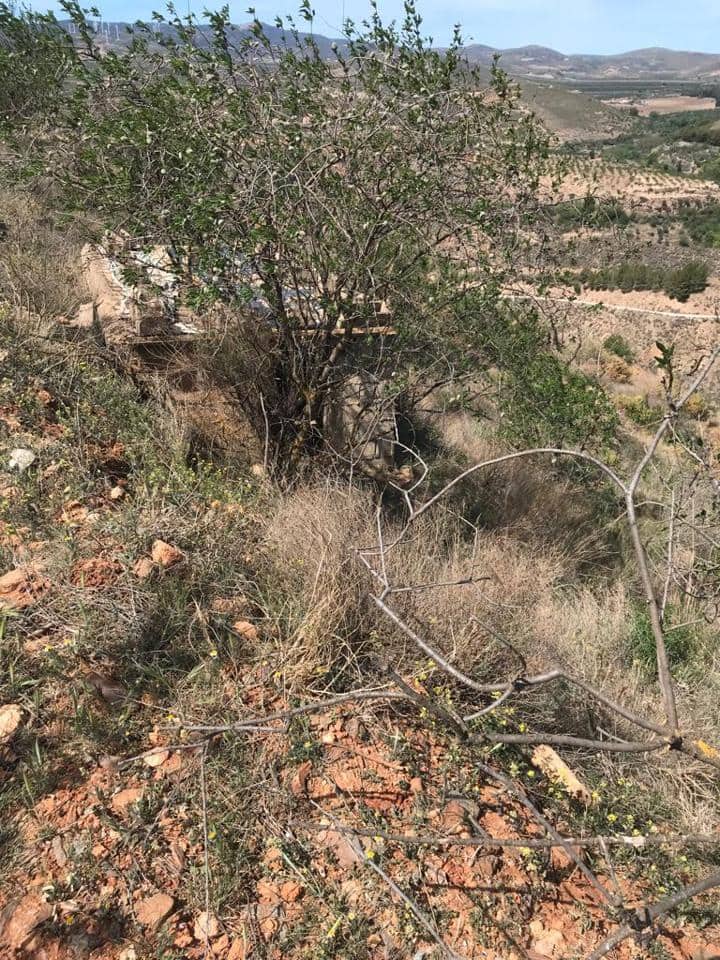 Finca/Country House for sale in Durcal - € 6,850 (Ref: 6796495)