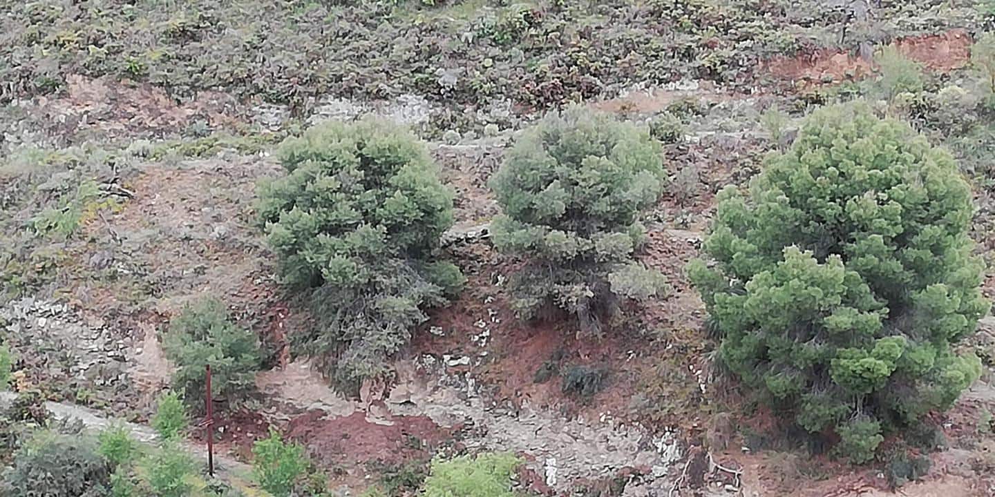 Finca/Country House for sale in Durcal - € 6,850 (Ref: 6796495)