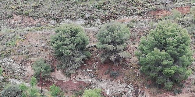 Finca/Casa Rural en Dúrcal en venta - 6.550 € (Ref: 6796495)