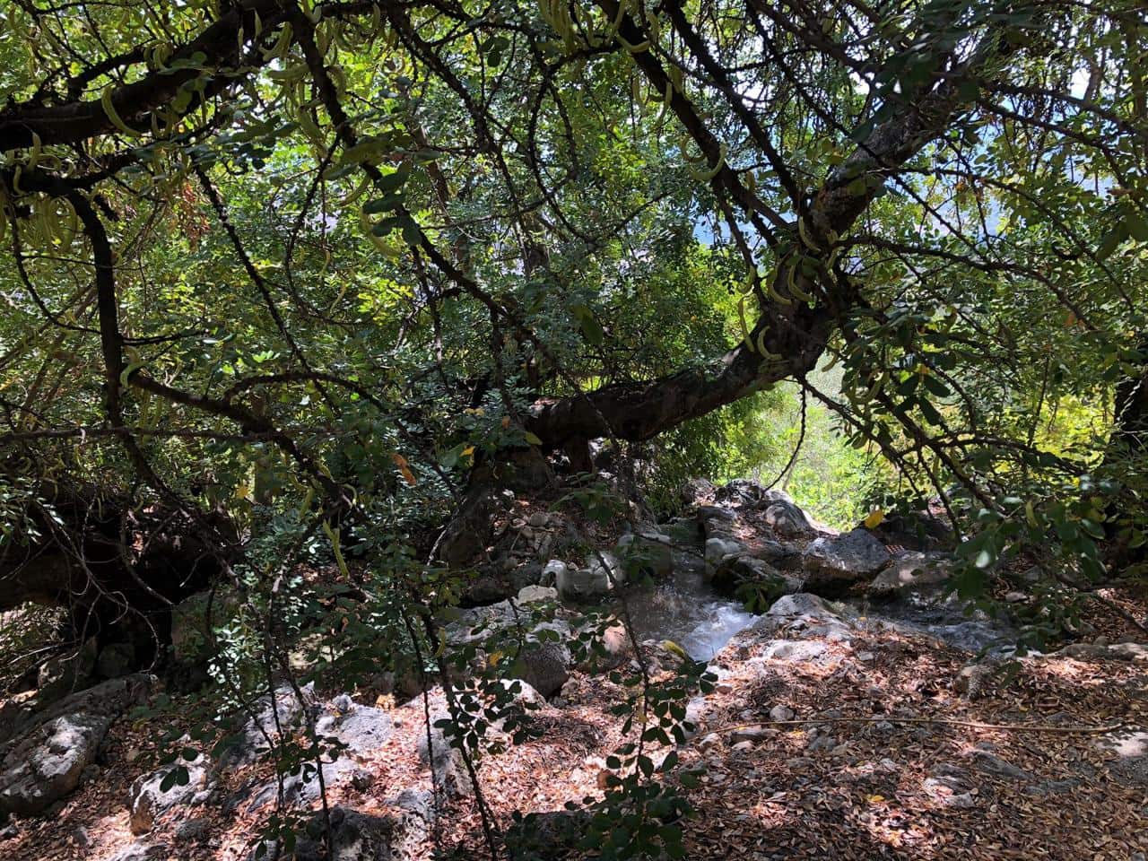 1 soveværelse Byhus til salg i El Pinar - € 52.300 (Ref: 6842882)