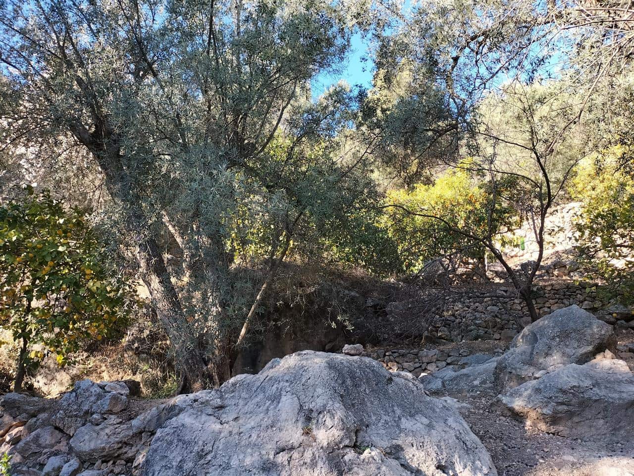 1 soveværelse Byhus til salg i El Pinar - € 52.300 (Ref: 6842882)