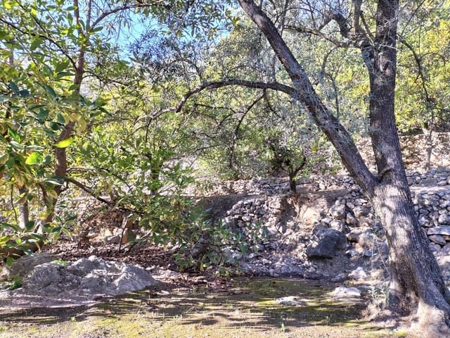 1 soveværelse Byhus til salg i El Pinar - € 52.300 (Ref: 6842882)