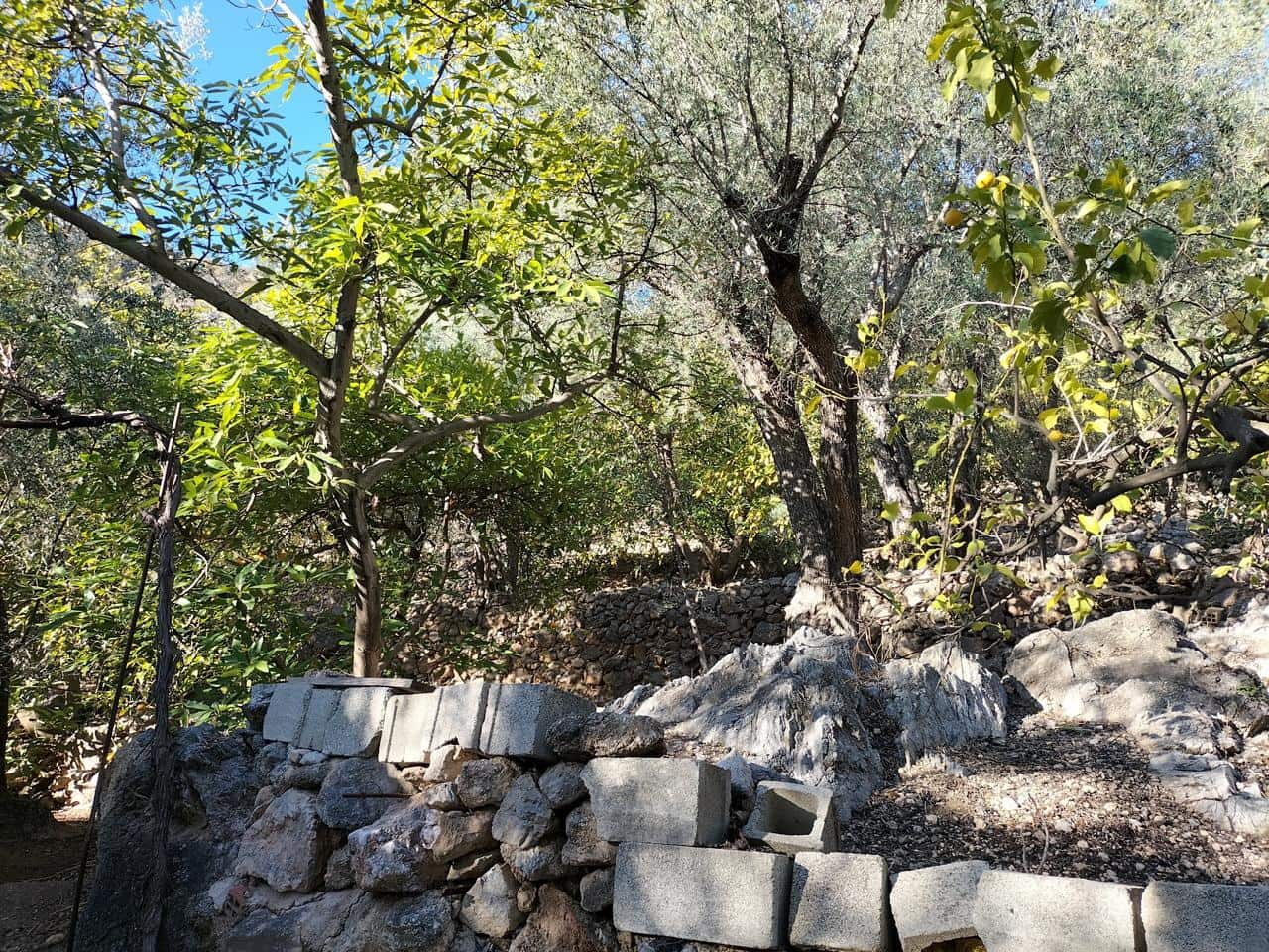 1 soveværelse Byhus til salg i El Pinar - € 52.300 (Ref: 6842882)