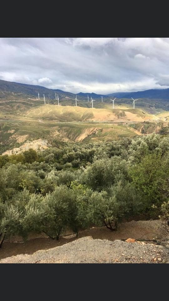 1 soveværelse Byhus til salg i El Pinar - € 52.300 (Ref: 6842882)