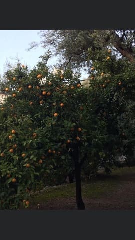 1 soveværelse Byhus til salg i El Pinar - € 52.300 (Ref: 6842882)